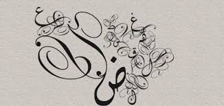 Programme and Activities